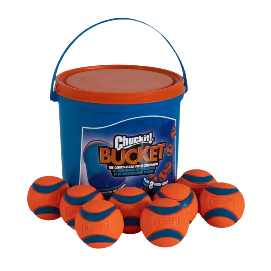 Chuckit Dog Bucket With Ultra Ball Medium 8 Count