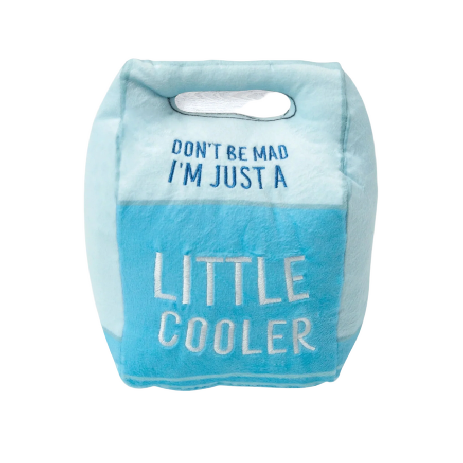 Soft blue plush dog toy with "Don't be mad, I'm just a little cooler" text on front placed on a wooden background.