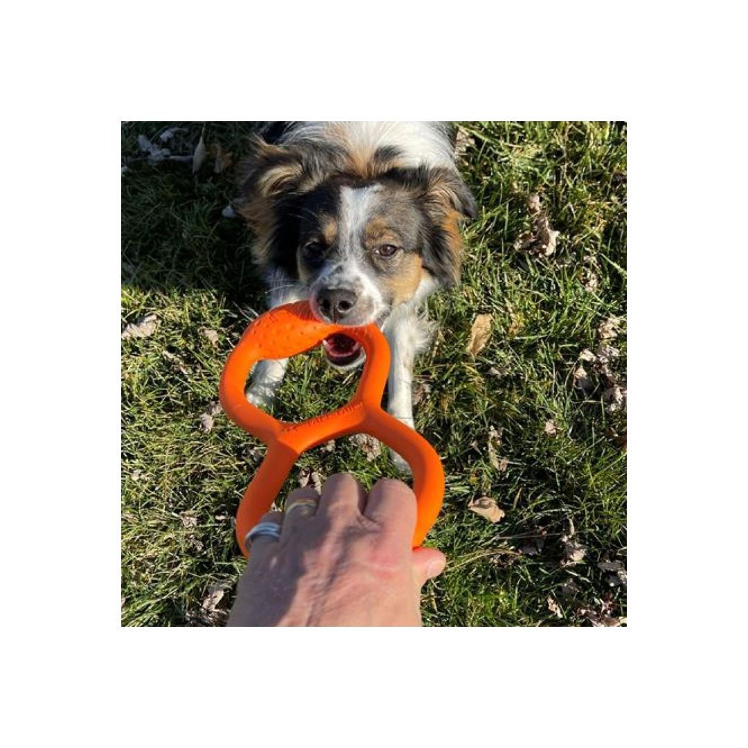 Tall Tails Durable Rubber Tug Toy