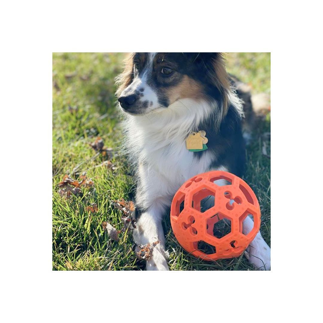 Tall Tails Dog Goat Flexiball Fetch Toy