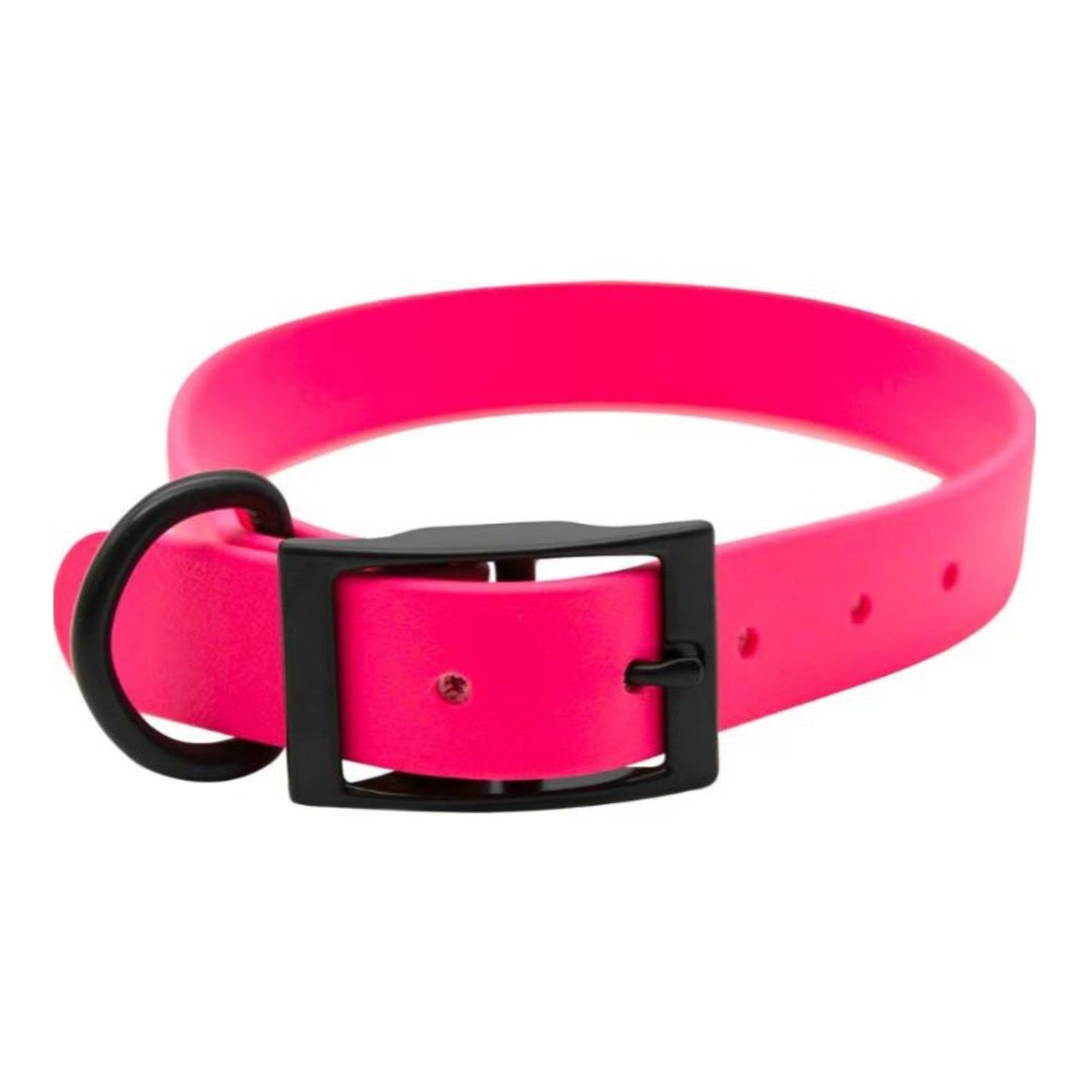 Omni Pet Ruby Biothane Dog Collar with Black Hardware Ruby 1x20in