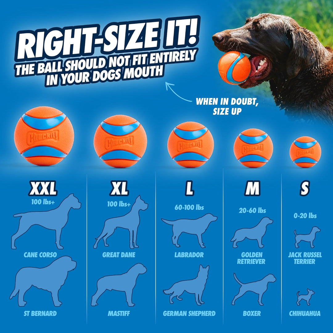 Chuckit Dog Ultra Ball Medium 1 Pack