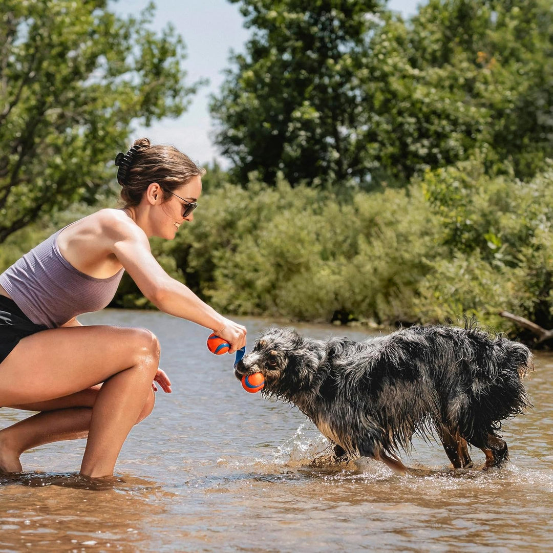 Chuckit Dog Ultra Duo Tug Medium