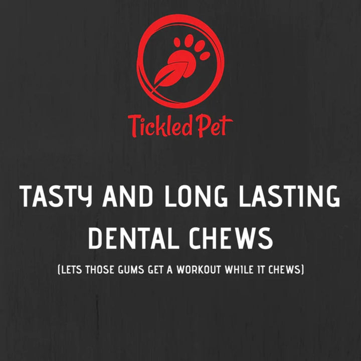 Tickled Pet Dog Salmon Skins Flat 6oz