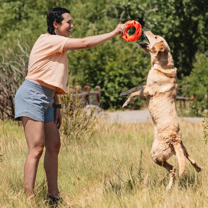 Chuckit! Air Fetch Wheel Dog Toy Large