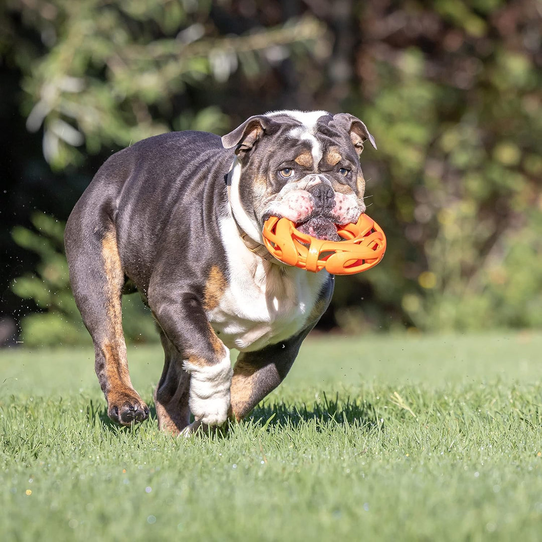 Chuckit! Air Fetch Wheel Dog Toy Large