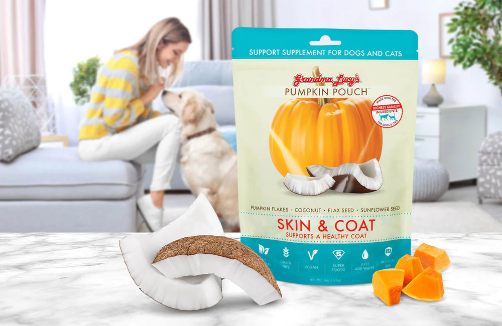 Grandma Lucy's Pumpkin Pouch Skin and Coat 6oz. Dog Food Freeze Dried product on display with a person and dog in the cozy home setting.