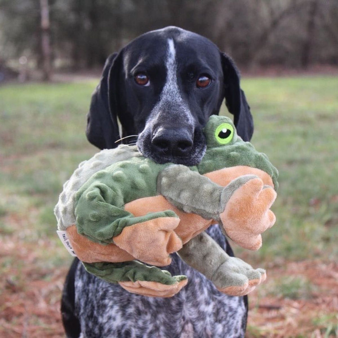 Tall Tails Animated Frog Plush Dog Toy